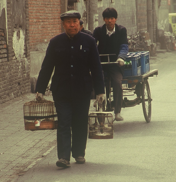 Spaziergnger mit Vgeln