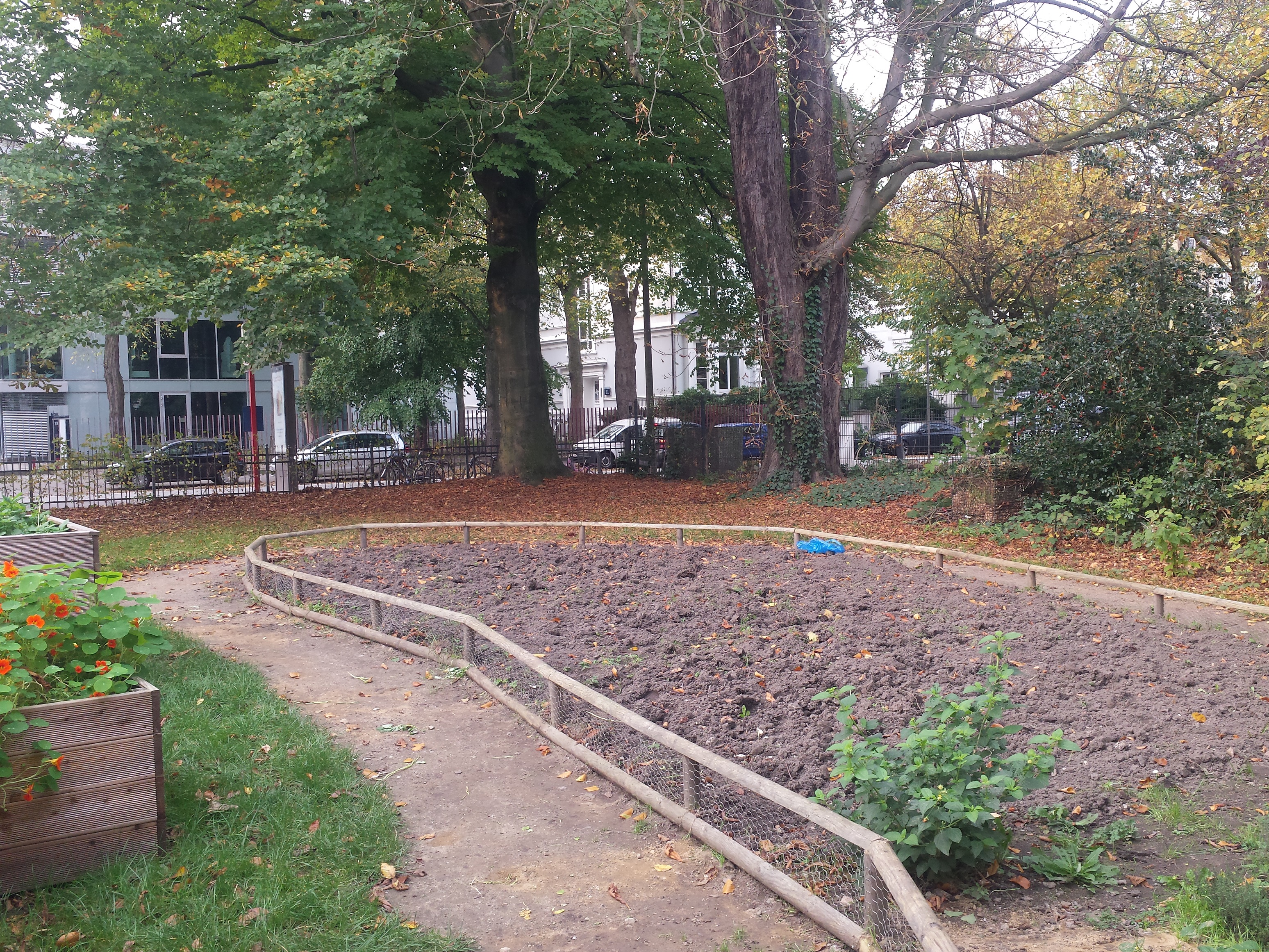 Im Garten der Flüchtlingsunterkunft Sophienterrasse 1a werden gemeinsam Obst und Gemüse gezogen. Foto: Sabine Steppat